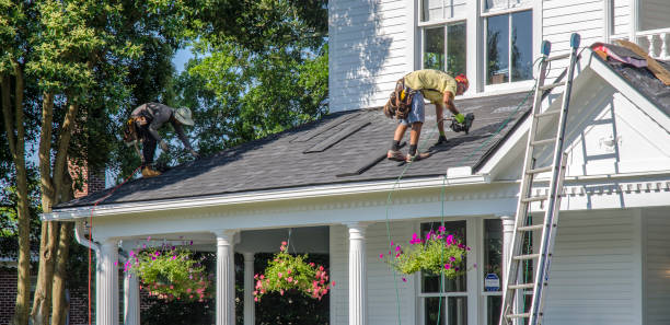 Best Roof Leak Repair  in Glenwood, IA