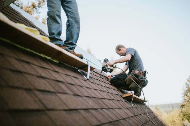 Best Residential Roof Replacement  in Glenwood, IA